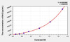Pig Bcl2 (B-Cell Leukemia/Lymphoma 2) ELISA Kit (AEKE03264)