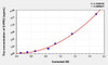 Human S1PR2 (Sphingosine 1 Phosphate Receptor 2) ELISA Kit (AEKE03347)