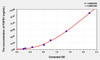 Rabbit FGFR1 (Fibroblast Growth Factor Receptor 1) ELISA Kit (AEKE03487)
