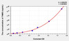 Rat TNMD (Tenomodulin) ELISA Kit (AEKE03588)