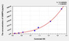 Human VAMP8 (Vesicle Associated Membrane Protein 8) ELISA Kit (AEKE03635)