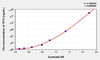Mouse TP73 (Tumor Protein p73) ELISA (Small Sample Volume) (AEKE03819)