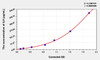 Zebrafish IL8 (Interleukin 8) ELISA Kit (AEKE03821)