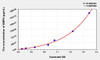 Mouse BMP4 (Bone Morphogenetic Protein 4) ELISA (Small Sample Volume) (AEKE03926)
