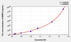 Human MMP2 (Matrix Metalloproteinase 2) ELISA Kit (AEKE04073)
