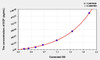 Human EGF (Epidermal Growth Factor) ELISA Kit (AEKE04121)