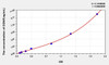 Human GDNF (Glial Cell Line Derived Neurotrophic Factor) ELISA Kit (AEKE04157)