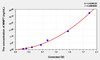 Rat MMP7 (Matrix Metalloproteinase 7) ELISA (Small Sample Volume) (AEKE04394)