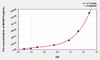 Mouse MASP1 (Mannose Associated Serine Protease 1) ELISA Kit (AEKE04454)
