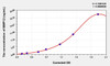 Rat MMP12 (Matrix Metalloproteinase 12) ELISA Kit (AEKE04485)