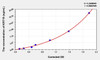 Mouse KRT19 (Keratin 19) ELISA (Small Sample Volume) (AEKE04627)