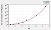 Rat CFB (Complement Factor B) ELISA Kit (AEKE04743)