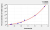 Rat CALB (Calbindin) ELISA (Small Sample Volume) (AEKE04821)