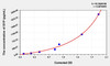 Mouse SYP (Synaptophysin) ELISA Kit (AEKE04947)