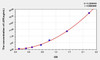 Rat LEP (Leptin) ELISA Kit (AEKE05621)