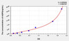 Rat AQP5 (Aquaporin 5) ELISA Kit (AEKE05806)