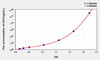 Rat HO1 (Heme Oxygenase 1, Decycling) ELISA Kit (AEKE05808)