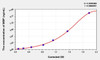 Rat MBP (Myelin Basic Protein) ELISA (Small Sample Volume) (AEKE05813)