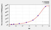 Human PKM2 (Pyruvate Kinase, Muscle) ELISA Kit (AEKE05833)