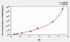 Rat PKM2 (Pyruvate Kinase, Muscle) ELISA Kit (AEKE05834)