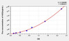 Human HO2 (Heme Oxygenase 2, Decycling) ELISA Kit (AEKE05863)