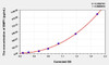 Rat BMP1 (Bone Morphogenetic Protein 1) ELISA (Small Sample Volume) (AEKE06190)