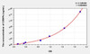 Human CEBPb (CCAAT/Enhancer Binding Protein Beta) ELISA Kit (AEKE06300)