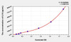 Mouse IL18 (Interleukin 18) ELISA Kit (AEKE06528)
