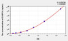 Human CASP14 (Caspase 14) ELISA Kit (AEKE06640)