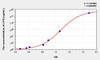 Mouse LPS (Lipopolysaccharide) ELISA Kit (AEKE07224)
