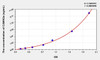 Human CAMK2a (Calcium/Calmodulin Dependent Protein Kinase II Alpha) ELISA Kit (AEKE07541)