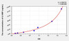 Human IL18BP (Interleukin 18 Binding Protein) ELISA Kit (AEKE08377)