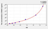 Human SNAI1 (Snail Homolog 1) ELISA Kit (AEKE08381)