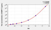 Human MMP17 (Matrix Metalloproteinase 17) ELISA Kit (AEKE08641)