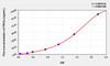 Rat PKCz (Protein Kinase C Zeta) ELISA Kit (AEKE09328)