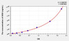 Human DEXI (Dexamethasone Induced Protein) ELISA (Small Sample Volume) (AEKE10200)