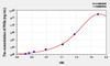 Mouse PKBa (Protein Kinase B Alpha) ELISA Kit (AEKE10351)
