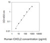 Human CXCL2 ELISA Kit