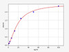 Hamster SARS-CoV-2 ELISA Sampler Pack (SKGE0034)