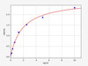 Sheep Systemic Infection ELISA Sampler Pack (SKGE0094)