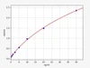 Human Cell Biology ELISA Kits 4 Human Prolyl 4-hydroxylase subunit alpha-1 / P4HA1 ELISA Kit