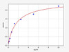 Human Cell Biology ELISA Kits 2 Human GSTO1 / Glutathione S Transferase Omega 1 ELISA Kit