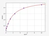 Human Immunology ELISA Kits 3 Human Oxytocin Receptor / OXTR ELISA Kit