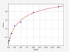 Human Cell Biology ELISA Kits 3 Human CYP2B6 / Cytochrome P450 2B6 protein ELISA Kit