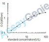 Human Carboxypeptidase A2 (CPA2) ELISA Kit (HUEB0617)