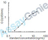 Human HLA class I histocompatibility antigen, alpha chain E (HLA-E) ELISA Kit (HUEB1781)
