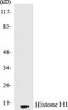 Histone H1 Colorimetric Cell-Based ELISA Kit