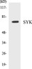 Immunology SYK Colorimetric Cell-Based ELISA Kit