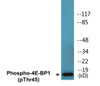 4E-BP1 Phospho-Thr45 Colorimetric Cell-Based ELISA Kit