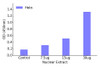 RUNX3 Transcription Factor Activity Assay